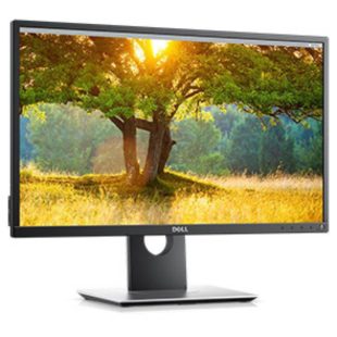 Dell 24 Monitor P2417H 60.5cm - 3Yr | price in dubai UAE EMEA saudi arabia