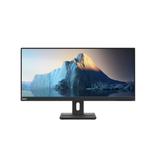 Lenovo ThinkVision E29w-20 Monitor - 62CEGAT3UK | price in dubai UAE Africa saudi arabia